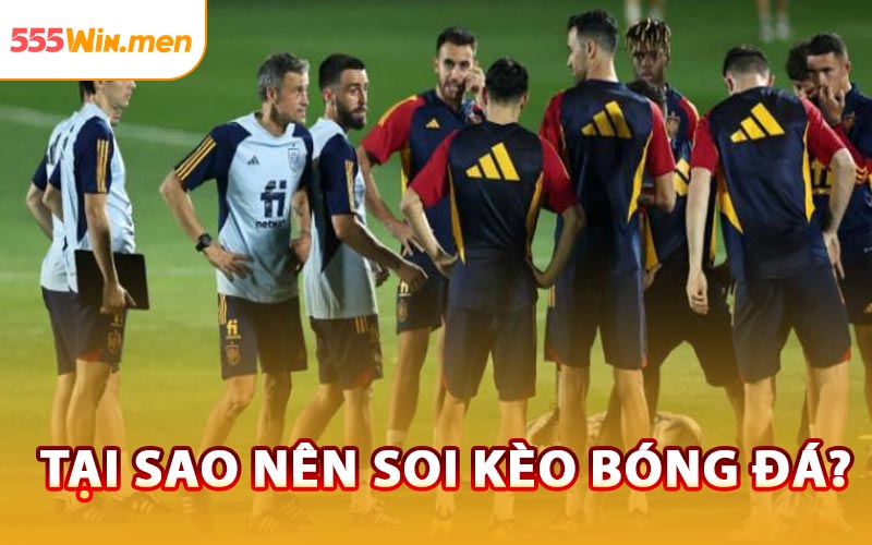 Tại Sao Nên Soi Kèo Bóng Đá?