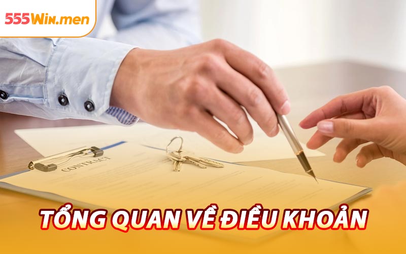 Tổng Quan Về Điều Khoản